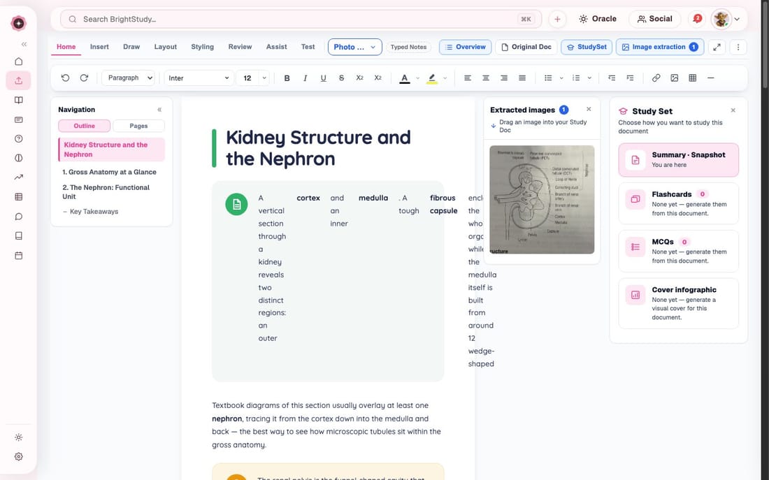A BrightStudy Study Doc on the kidney and nephron with extracted images and a study set panel