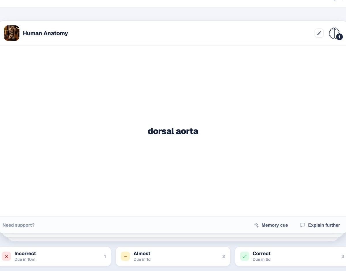 A BrightStudy flashcard showing its answer with Incorrect, Almost and Correct buttons and their next review times