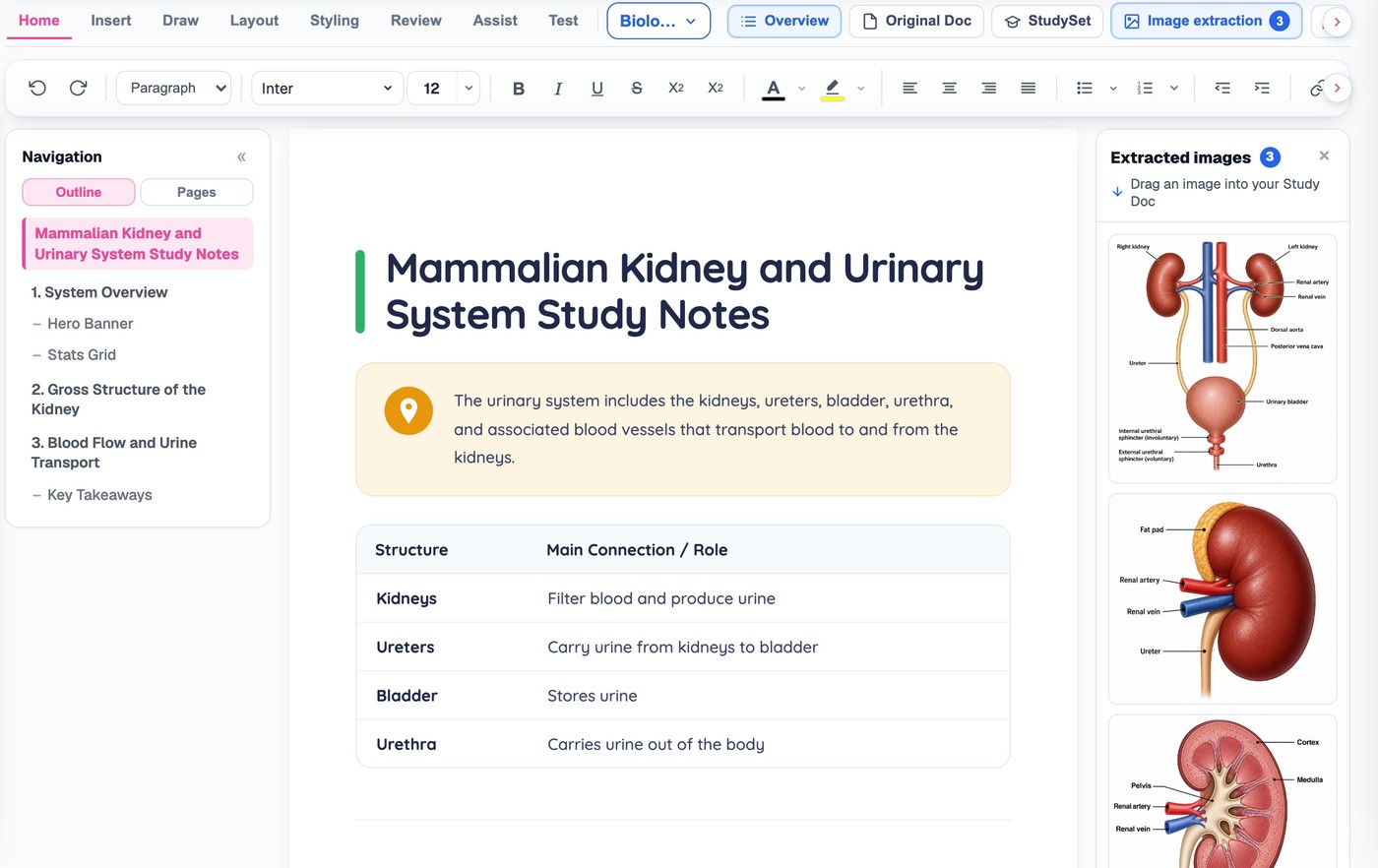 A BrightStudy Study Doc with two extracted diagrams placed inline among formatted text